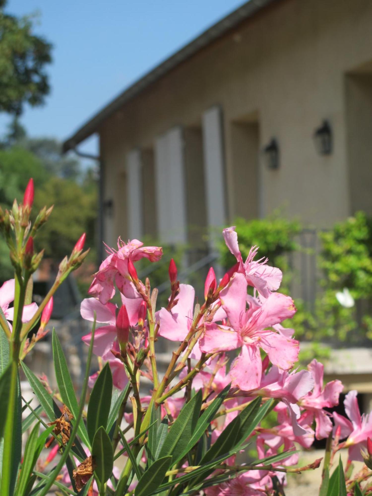 Ferienwohnung Les Communs Du Manoir Écully Zimmer foto